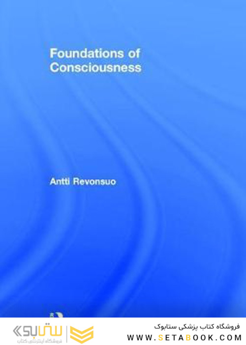 Foundations of Consciousness