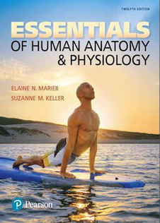 عکس Essentials of Human Anatomy - Physiology
