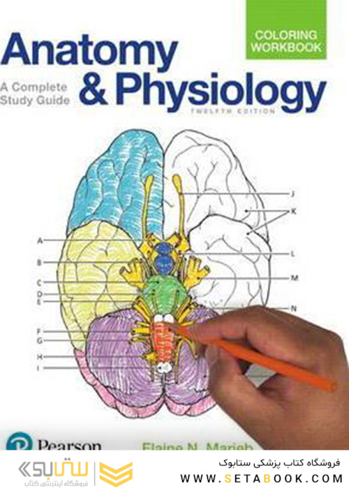 Anatomy and Physiology Coloring Workbook : A Complete Study Guide