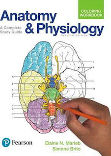 عکس Anatomy and Physiology Coloring Workbook : A Complete Study Guide