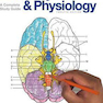 Anatomy and Physiology Coloring Workbook : A Complete Study Guide