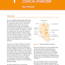 ENT: An Introduction and Practical Guide