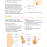 ENT: An Introduction and Practical Guide