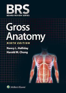 عکس BRS Gross Anatomy (Board Review Series) Ninth, North American Edition آناتومی گری 2019 BRS