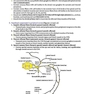 BRS Gross Anatomy (Board Review Series) Ninth, North American Edition آناتومی گری 2019 BRS