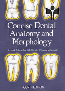 عکس Concise Dental Anatomy and Morphology