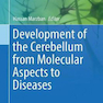 Development of the Cerebellum from Molecular Aspects to Diseases