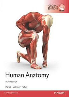 عکس Human Anatomy, Global Edition