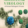 Molecular Virology of Human Pathogenic Viruses