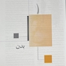 آناتومی پایه گری (تنه)