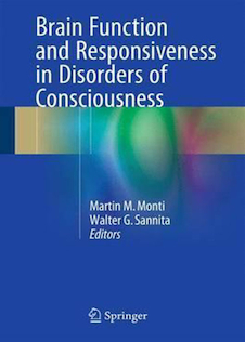 عکس Brain Function and Responsiveness in Disorders of Consciousness