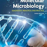 Molecular Microbiology : Diagnostic Principles and Practice