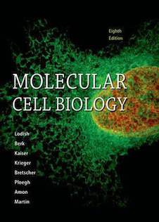 عکس زیست سلولی و مولکولی لودیش 2016 Molecular Cell Biology