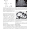 Ultrasound: The Requisites