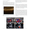 Ultrasound: The Requisites