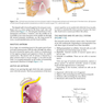 Diseases of Ear, Nose and Throat