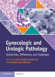 عکس Gynecologic and Urologic Pathology : Similarities, Differences and Challenges