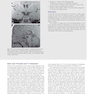 Duke Review of MRI Physics: Case Review Series