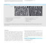 Duke Review of MRI Physics: Case Review Series