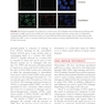 Radiobiology for the Radiologist