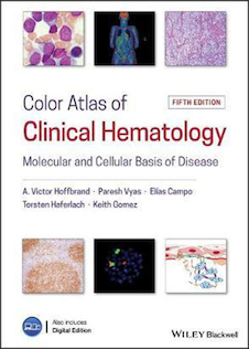 عکس Color Atlas of Clinical Hematology : Molecular and Cellular Basis of Disease