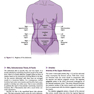 Current Diagnosis - Treatment Obstetrics - Gynecology 2019