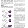 Current Diagnosis - Treatment Obstetrics - Gynecology 2019