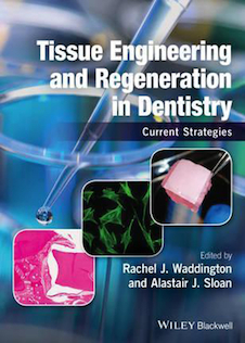 عکس Tissue Engineering and Regeneration in Dentistry : Current Strategies