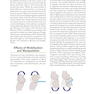 Orthopedic Joint Mobilization and Manipulation with Web Study Guide : An Evidence-Based Approach