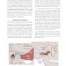 Orthopedic Joint Mobilization and Manipulation with Web Study Guide : An Evidence-Based Approach