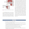 Orthopedic Joint Mobilization and Manipulation with Web Study Guide : An Evidence-Based Approach