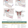 Orthopedic Joint Mobilization and Manipulation with Web Study Guide : An Evidence-Based Approach