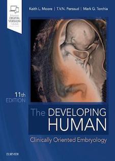 عکس The Developing Human: Clinically Oriented Embryology 2019
