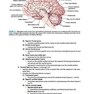 BRS Neuroanatomy (Board Review Series) Sixth Edition 2020 نوروآناتومی ویرایش ششم