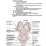 BRS Neuroanatomy (Board Review Series) Sixth Edition 2020 نوروآناتومی ویرایش ششم