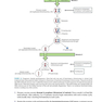 جنین شناسی نسخه ششم  BRS Embryology (Board Review Series) Sixth Edition BRS  