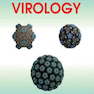 Fundamentals of Molecular Virology 2nd Edition