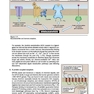 Lippincott® Illustrated Reviews: Physiology (Lippincott Illustrated Reviews Series) 2019 Second, North American Edition لیپینکات فیزیولوژی 2019