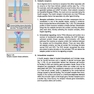 Lippincott® Illustrated Reviews: Physiology (Lippincott Illustrated Reviews Series) 2019 Second, North American Edition لیپینکات فیزیولوژی 2019