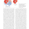 Haemoglobinopathy-Diagnosis-3rd-Edition