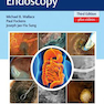 Gastroenterological Endoscopy 3rd edition Edition 2018 آندوسکوپی دستگاه گوارش 