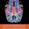 Cognitive Neuroscience: The Biology of the Mind (Fifth Edition) Fifth Edition