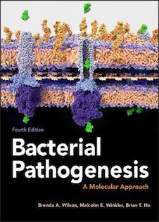 عکس  Bacterial Pathogenesis: A Molecular Approach (ASM Books) Fourth Edition 2019 پاتوژنز باکتریایی: یک رویکرد مولکولی