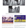 Endodontics: Principles and Practice 6th Edition 2021