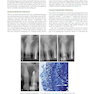 Endodontics: Principles and Practice 6th Edition 2021
