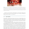 Bone Management in Dental Implantology 1st ed. 2019 Edition