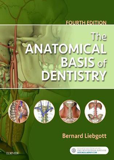 عکس 2018 The Anatomical Basis of Dentistry 4th Edition مبانی آناتومیک دندانپزشکی