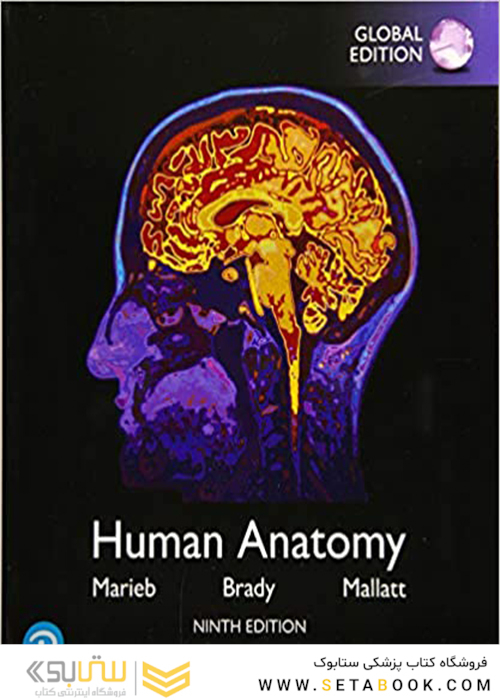 2020 Human Anatomy, Global Edition 9th Edition آناتومی انسانی