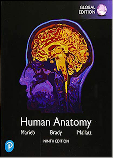 عکس 2020 Human Anatomy, Global Edition 9th Edition آناتومی انسانی
