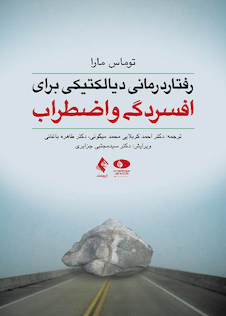 عکس رفتار درمانی دیالکتیکی برای افسردگی و اضطراب